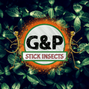 store_logo